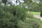 Torryburn NSWresidential-landscaping-35.jpg; ?>