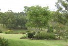 Torryburn NSWresidential-landscaping-40.jpg; ?>